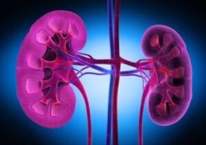 #19 de junio día mundial del cáncer de riñón