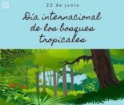 Día internacional de los Bosques Tropicales