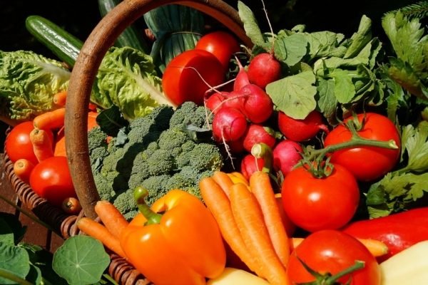 Fedeagro advierte retrasos en la distribución nacional de hortalizas producidas en los andes por daños en la vialidad