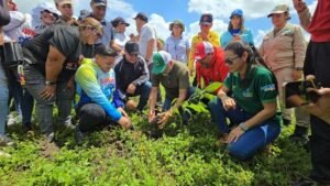 Venezuela anuncia plan de reforestación en zona protegida afectada por las lluvias