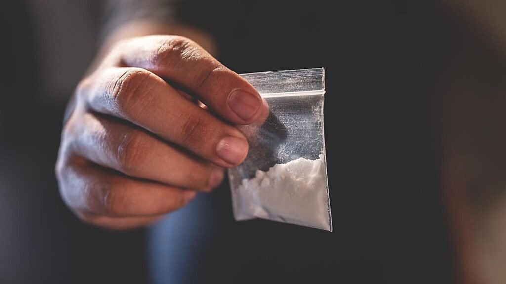 producción mundial de cocaína alcanza un nuevo récord y se cuadruplica en una década
