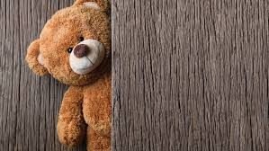 ¿Conoces el curioso origen del osito Teddy Bear?