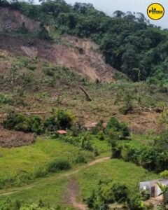 18 casas tapiadas por deslizamiento de tierra en Táchira