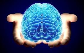 #22 Julio: Día Mundial del Cerebro