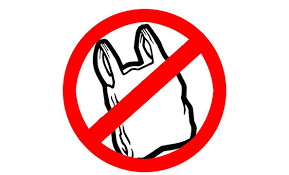 #3 de Julio día Internacional sin bolsas de plástico  