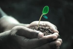 #7 julio:Día Internacional de la Conservación del Suelo