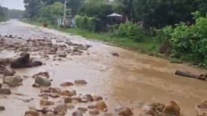 Ascienden a más de 4 mil las familias afectadas por las lluvias en Barinas
