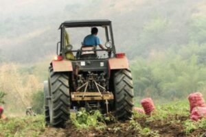 Cartera agrícola no llega a US$ 150 millones y es apenas el 15% de lo que era hace 10 años