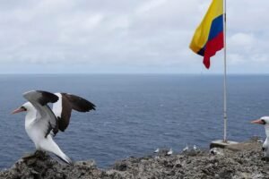 Colombia ordena evacuar el Pacífico ante alerta de tsunami