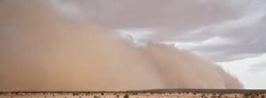 Día Internacional de la Lucha contra las Tormentas de Arena y Polvo