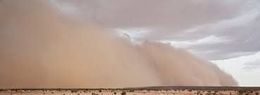 Día Internacional de la Lucha contra las Tormentas de Arena y Polvo