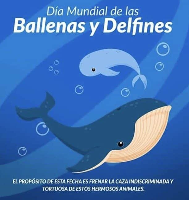 Día Mundial de las Ballenas y los Delfines