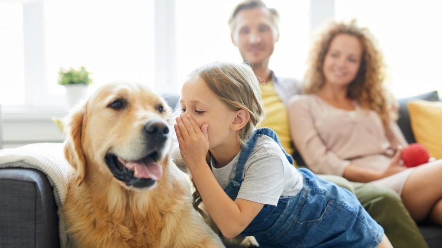 La IA podría ayudarnos a "hablar" con los animales