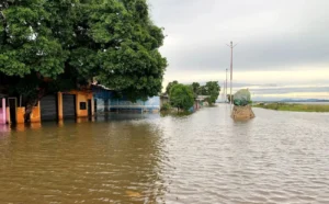 Las crecidas en el río Orinoco son naturales, pero la prevención es clave