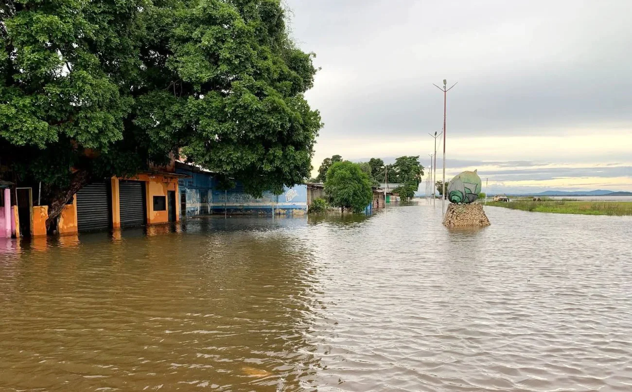Las crecidas en el río Orinoco son naturales, pero la prevención es clave