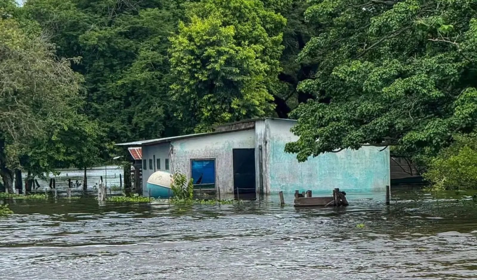gobernación reporta zonas con 80 % de afectación por inundaciones