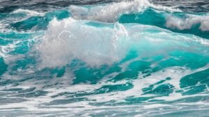 ¿Cómo se forman las olas?