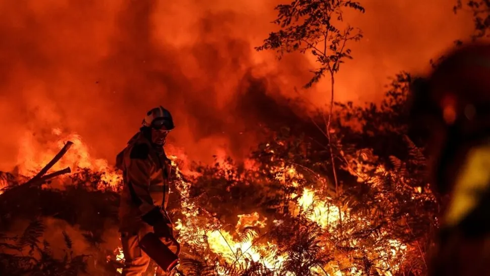 Día Mundial de la Prevención de Incendios Forestales
