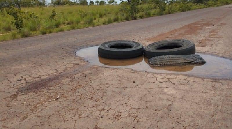 Exigen reparación de la vía en Altos de Periquera en Apure