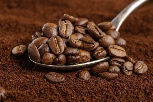 Fedeagro estima que solo 10 % de la producción nacional de café se exporta