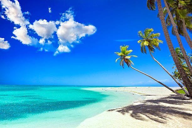 ¿En cuánto tiempo se forma una playa?